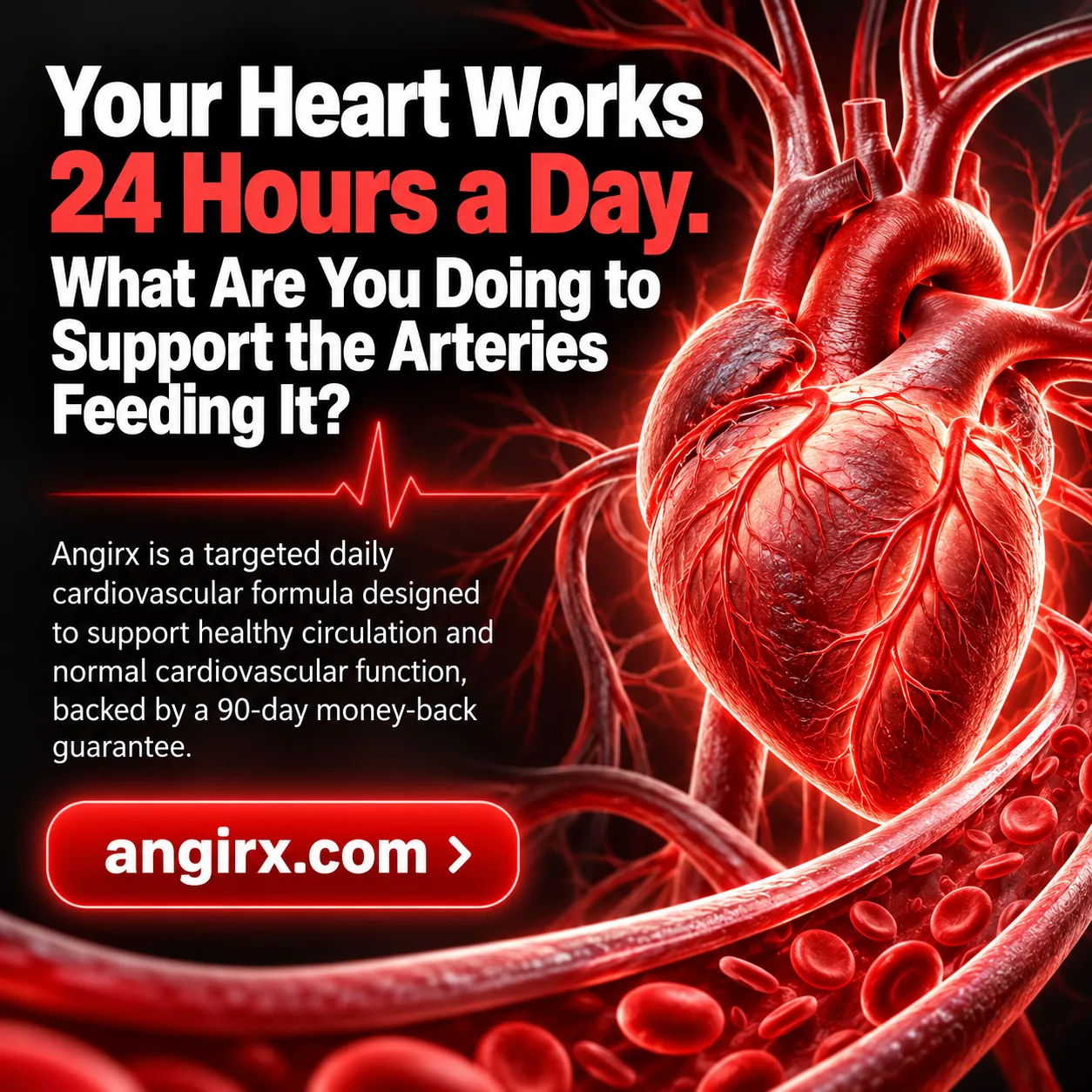Anticoagulantes y antiagregantes: comparaciones — Revive by ZennPlus visual