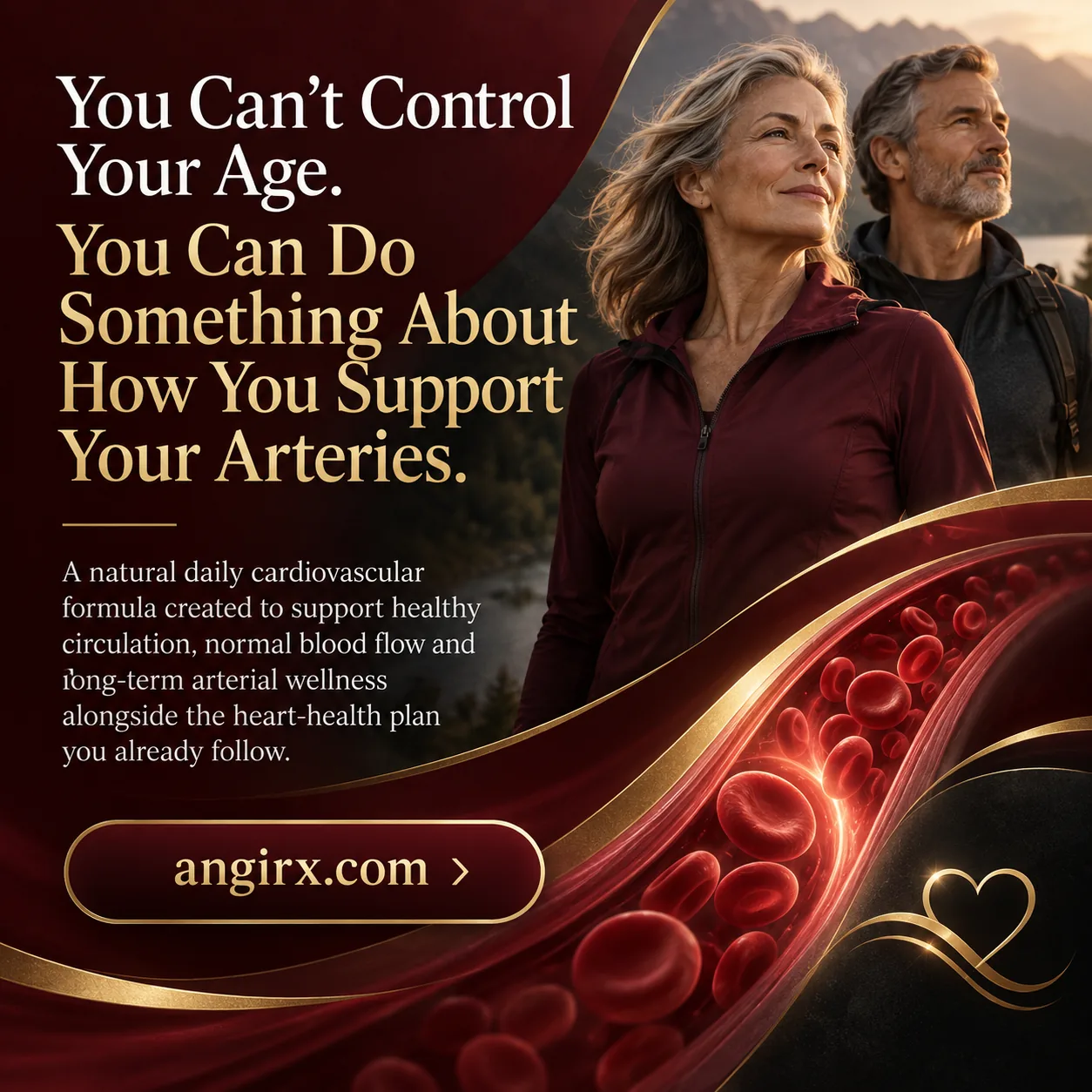 Blood Pressure Medication Comparisons — Revive by ZennPlus visual